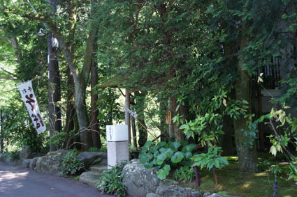 20090524hakone02.JPG