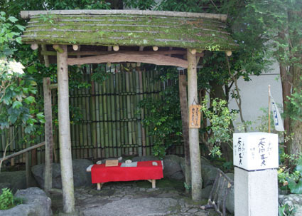 20090524hakone03.JPG