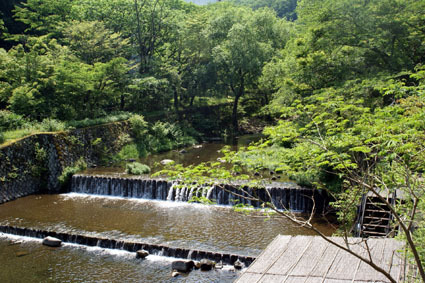 20090524hakone06.JPG