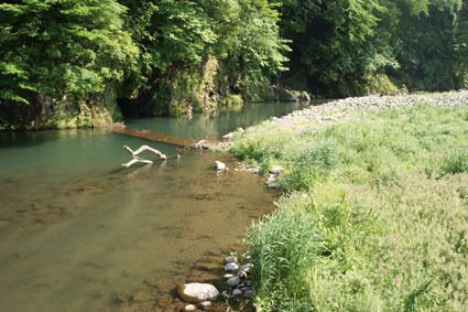 20090524hakone09.JPG
