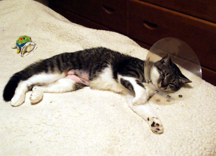 20090524home02.JPG