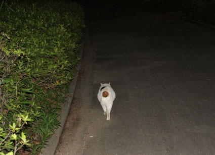 20090613home05.jpg