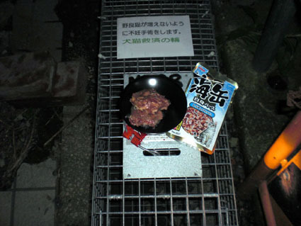 20090617river01.JPG