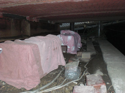 20090617river04.JPG
