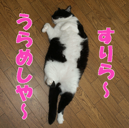 20090625suzu02.gif