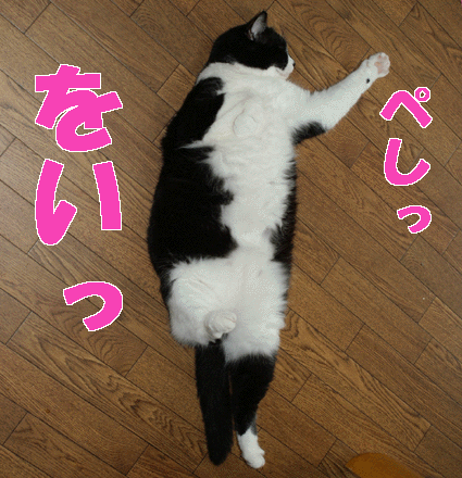 20090625suzu03.gif