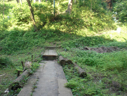 20090627hachi06.JPG