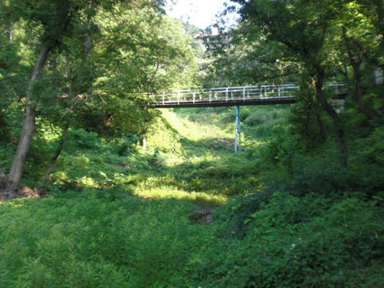 20090627hachi07.JPG