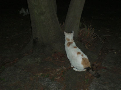 20090627park03.JPG