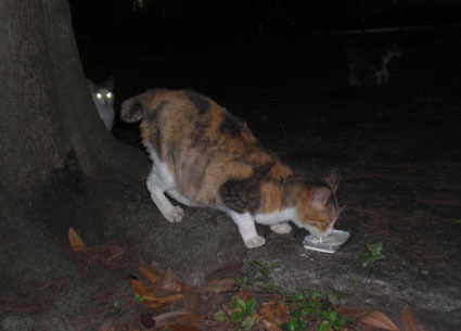 20090627park05.JPG