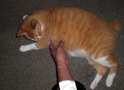 20090627park06.JPG