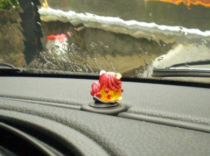 20090627sisa01.JPG