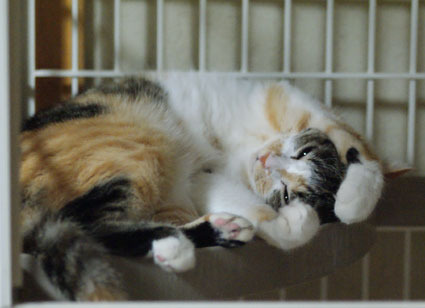 20090726home03.JPG