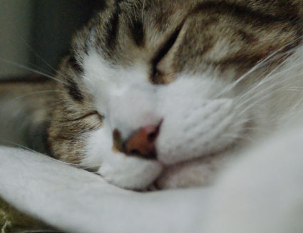 20090726home06.JPG
