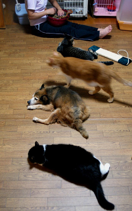 20090730home03.JPG