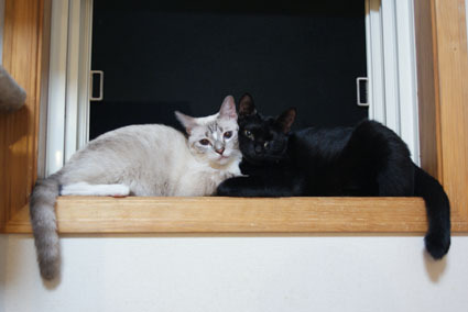 20090818home01.jpg