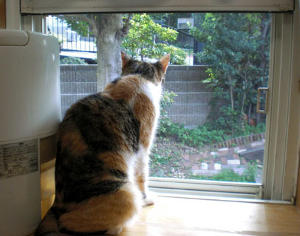 20090829home01.JPG