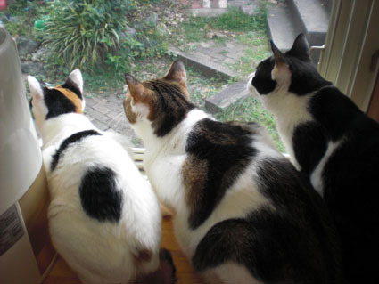 20090829home02.JPG