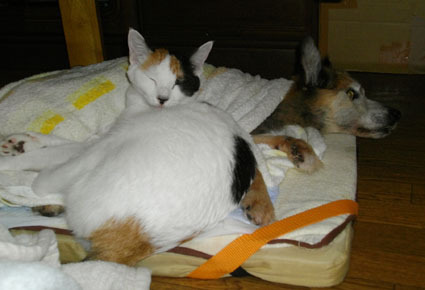 20090925home01.JPG
