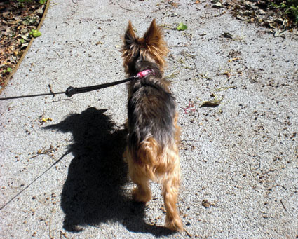 20090925home03.JPG