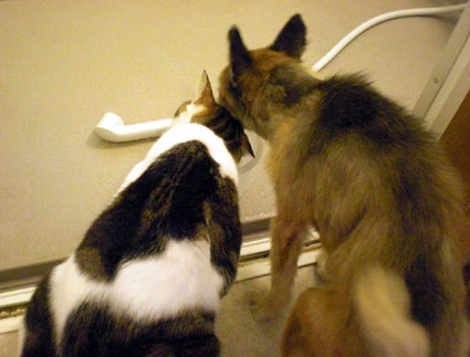 20090925home06.JPG
