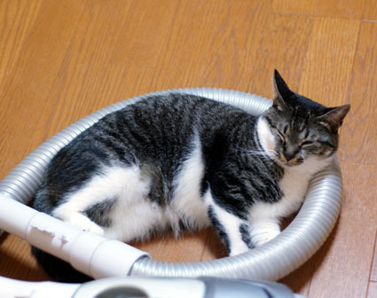 20091002muu03.JPG