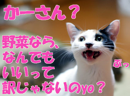 20091005mika02.JPG