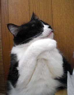 20091006suzu10.JPG