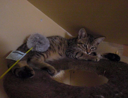 20091017home01.JPG
