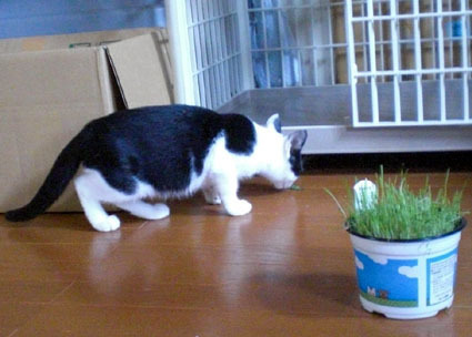 20091017home02.JPG