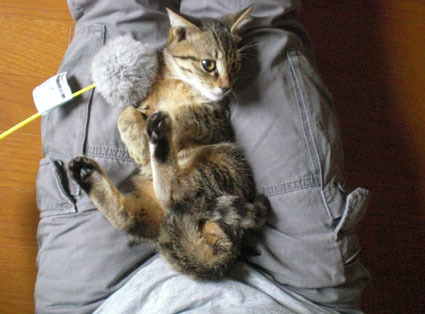 20091017home03.JPG