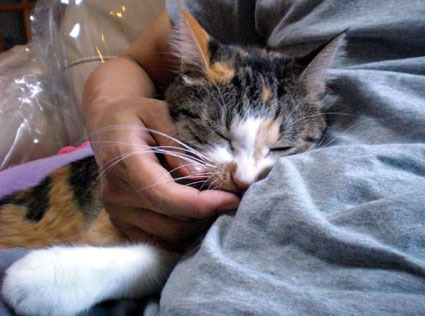 20091029home02.JPG