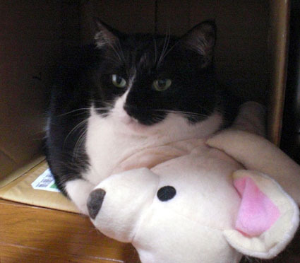 20091029home05.JPG