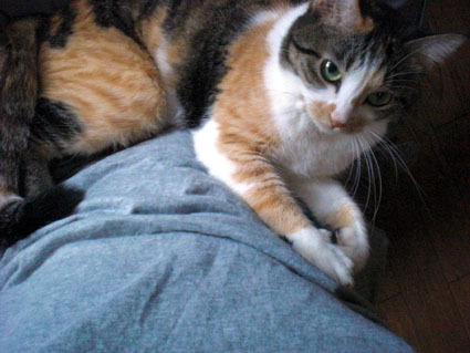 20091029home06.JPG