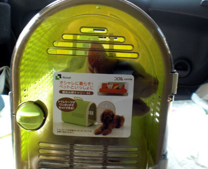 20091031home01.JPG