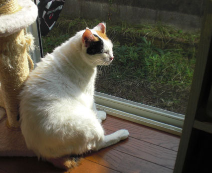 20091031home03.JPG