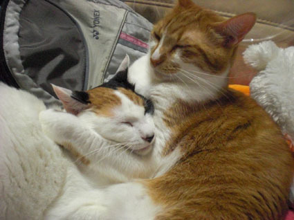 20091119home03.JPG