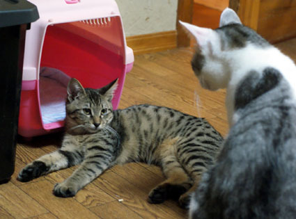 20091123home10.JPG