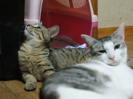 20091123home11.JPG