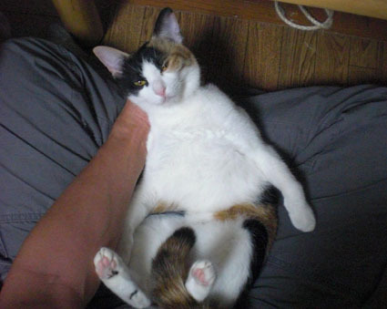 20091123home12.JPG
