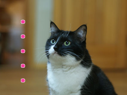 20091127suzu01.JPG