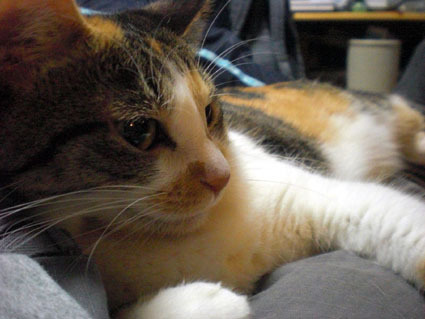 20091129home03.JPG