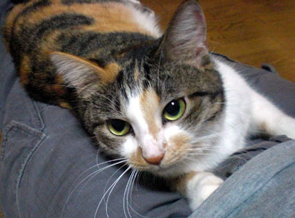20091129home04.JPG
