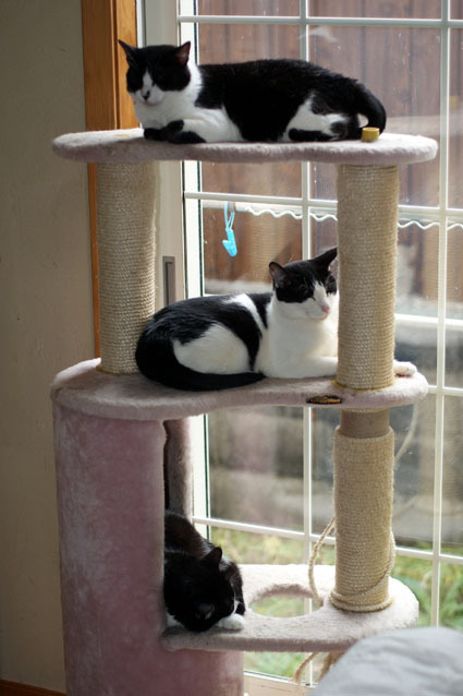 20091213home01.JPG
