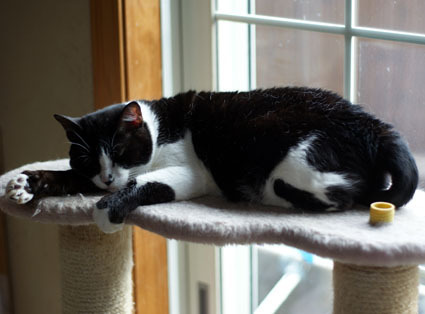 20091213home03.JPG