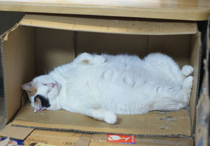20091216home03.JPG