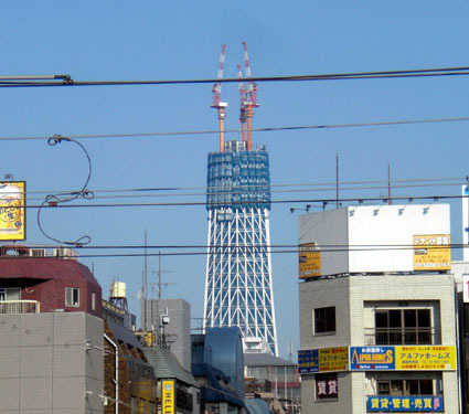 20091216tree01.JPG