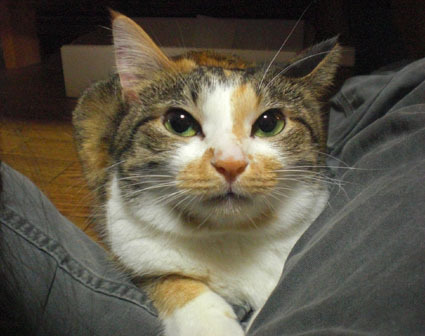 20091220mi-ko06.JPG