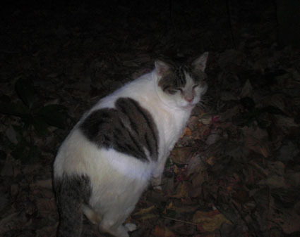 20091227park02.jpg
