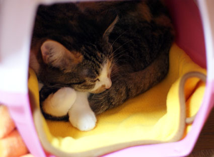 20091228home02.JPG